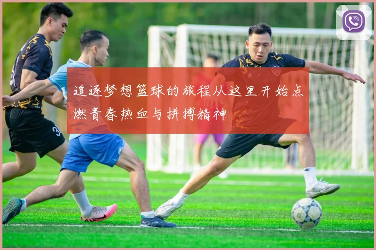 追逐梦想篮球的旅程从这里开始点燃青春热血与拼搏精神